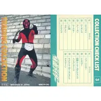 Trading Card - Kamen Rider