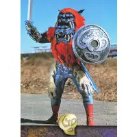 Trading Card - Kamen Rider V3