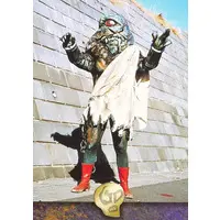 Trading Card - Kamen Rider V3