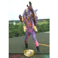 Trading Card - Kamen Rider V3