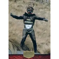 Trading Card - Kamen Rider