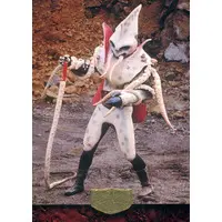 Trading Card - Kamen Rider