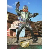 Trading Card - Kamen Rider V3