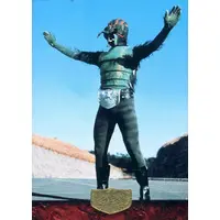 Trading Card - Kamen Rider