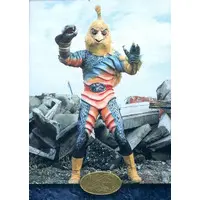 Trading Card - Kamen Rider