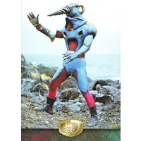 Trading Card - Kamen Rider V3