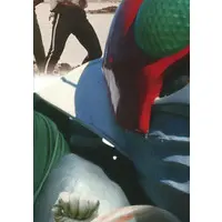 Trading Card - Kamen Rider V3