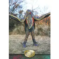 Trading Card - Kamen Rider V3