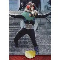 Trading Card - Kamen Rider