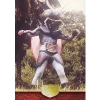 Trading Card - Kamen Rider