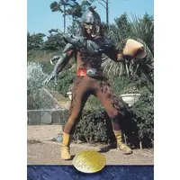 Trading Card - Kamen Rider / Ino Kabuton