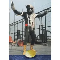 Trading Card - Kamen Rider / Kurage Wolf