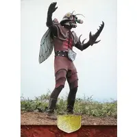 Trading Card - Kamen Rider