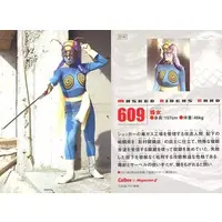 Calbee Kamen Rider Chips - Kamen Rider / Wasp Woman