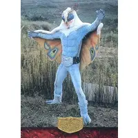 Trading Card - Kamen Rider / Dokugander