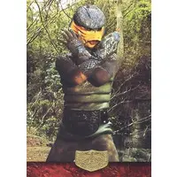 Trading Card - Kamen Rider / Cobra Man