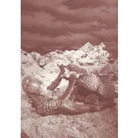 Trading Card - Ultraseven / Giradorus