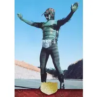 Trading Card - Kamen Rider