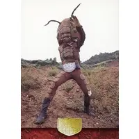 Trading Card - Kamen Rider / Zanbronzo