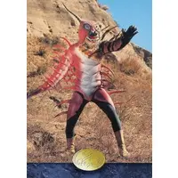 Trading Card - Kamen Rider