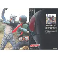 Trading Card - Kamen Rider