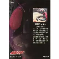 Trading Card - Kamen Rider