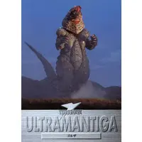 Trading Card - Ultraman Tiga / Golza