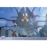 Trading Card - Ultraman Dyna