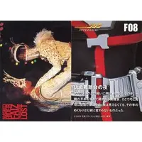 Trading Card - Kamen Rider 555