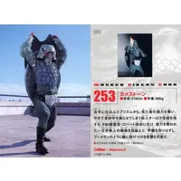 Calbee Kamen Rider Chips - Kamen Rider / Kamestone