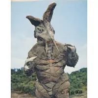 Trading Card - Ultraman Leo