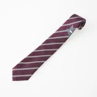 Premium Bandai Limited - Kamen Rider Zeztz