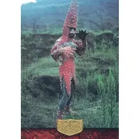 Trading Card - Kamen Rider