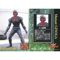 Trading Card - Kamen Rider Kuuga