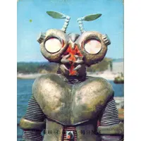 Trading Card - Kamen Rider