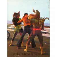 Trading Card - Kamen Rider