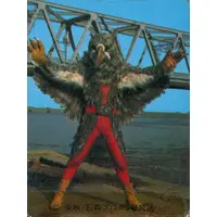 Trading Card - Kamen Rider