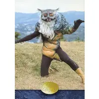 Trading Card - Kamen Rider