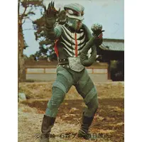 Trading Card - Kamen Rider