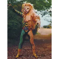 Trading Card - Kamen Rider