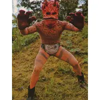 Trading Card - Kamen Rider V3