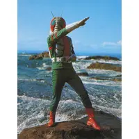 Trading Card - Kamen Rider V3
