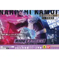 Postcard - Ride Kamens