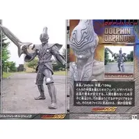 Trading Card - Kamen Rider 555