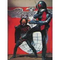 Trading Card - Kamen Rider