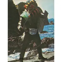 Trading Card - Kamen Rider