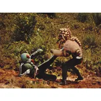 Trading Card (260：シラキュラスをやっつけろ)