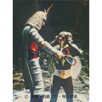 Trading Card (250：滝つぼに おちたライダー)