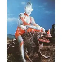 Trading Card - Ultraman / Zumbolar