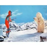 Trading Card - Ultraman / Woo (Kaiju)